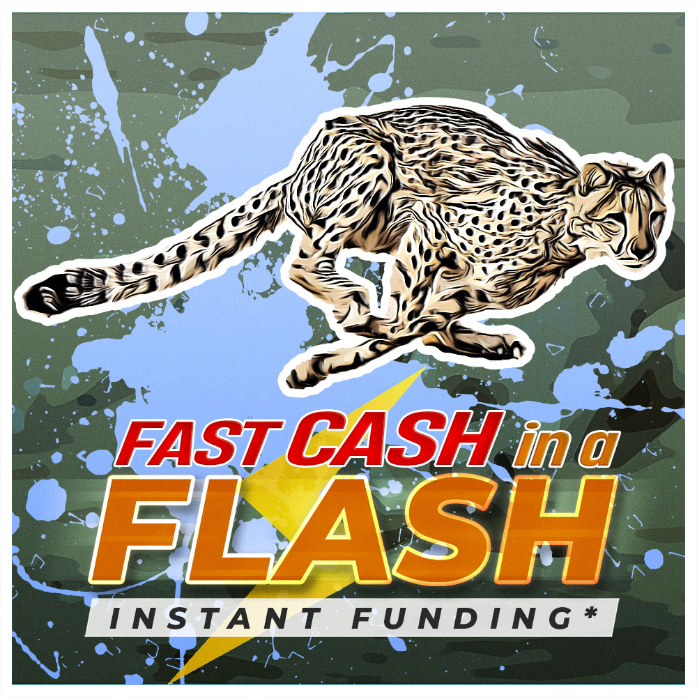 Fast Cash in a Flash* Preview Image