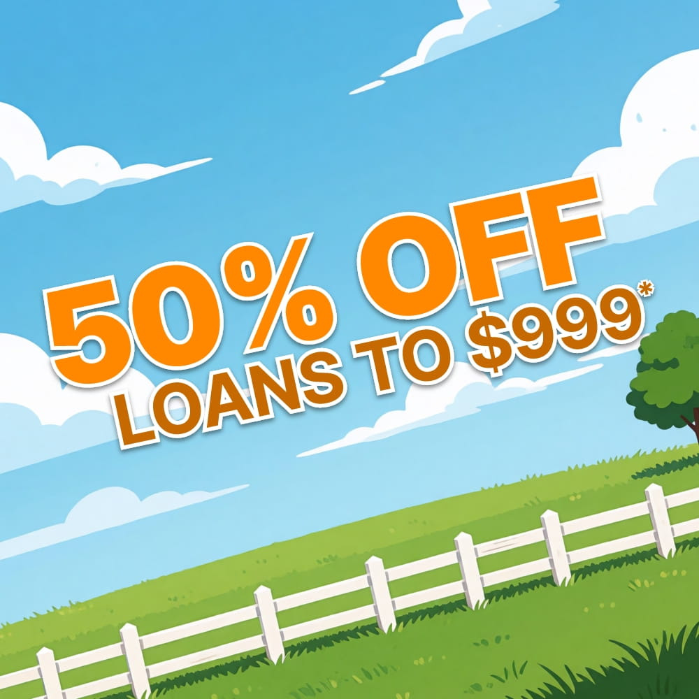 50% Off Loans to $999 Preview Image